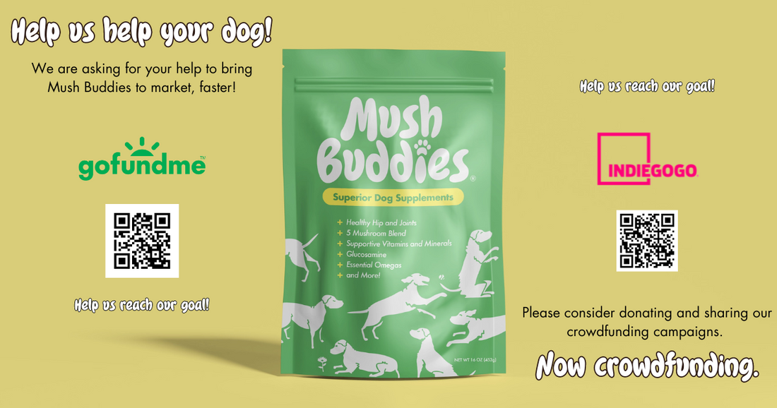 Help us help your dog!