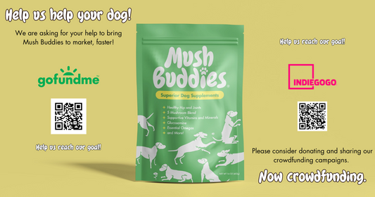 Help us help your dog!