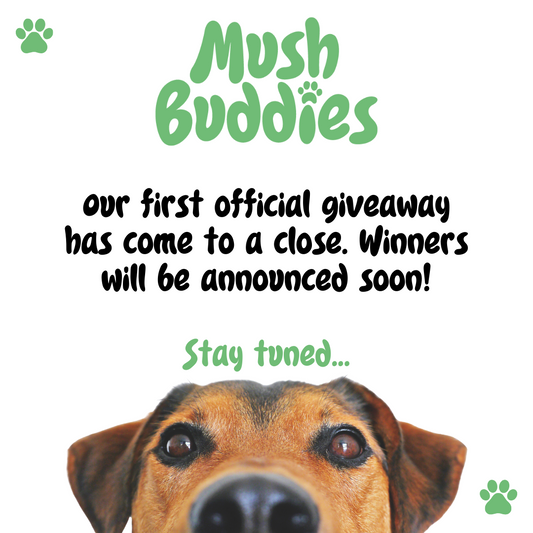 Giveaway Wrap-up!