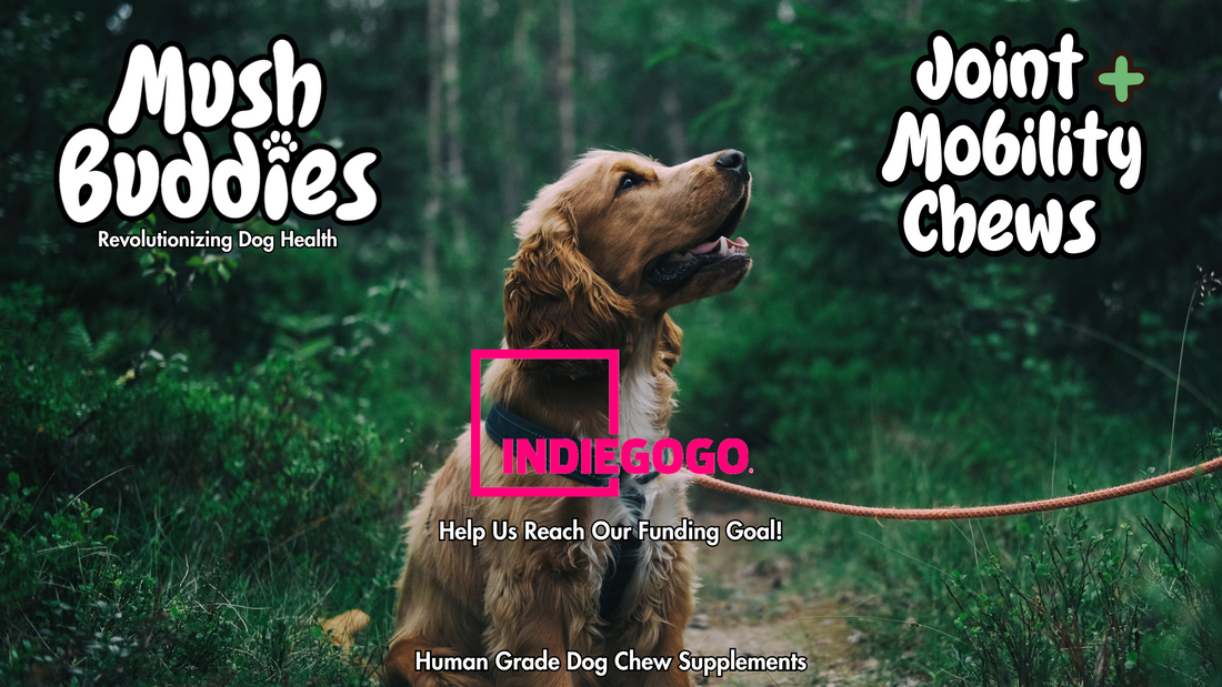Mush Buddies Indiegogo Campaign Pre-Launch!