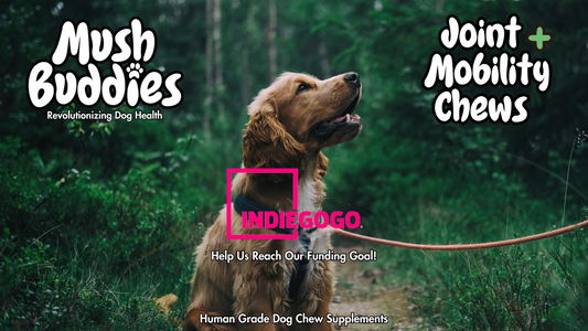 Mush Buddies Indiegogo Campaign Pre-Launch!