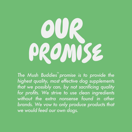 The Mush Buddies promise. Medicinal mushrooms for dogs. Canine health, dog health, joint & mobility support, gut health for dogs, skin & coat health, cognitive function, world's best dog supplement brand.