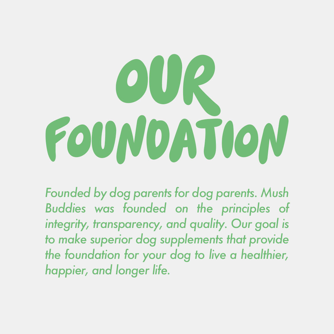 Mush Buddies brand foundation. Founded by dog parents for dog parents. Mushrooms for dogs. Medicinal mushrooms for dogs. Mushroom dog supplements.