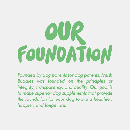 Mush Buddies brand foundation. Founded by dog parents for dog parents. Mushrooms for dogs. Medicinal mushrooms for dogs. Mushroom dog supplements.