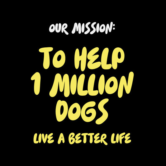 Mush Buddies Brand. Mushrooms for dogs. Medicinal mushrooms for dogs. Reishi, codyceps, turkey tail, maitake, shiitake, mushrooms. Joint & Mobility support, gut health, cognitive function, anti-cancer properties, immunity support, skin & coat health.