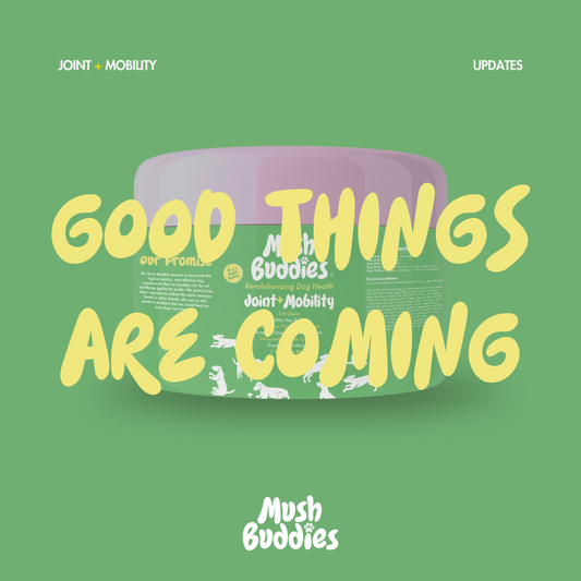 Good Things Are Coming!