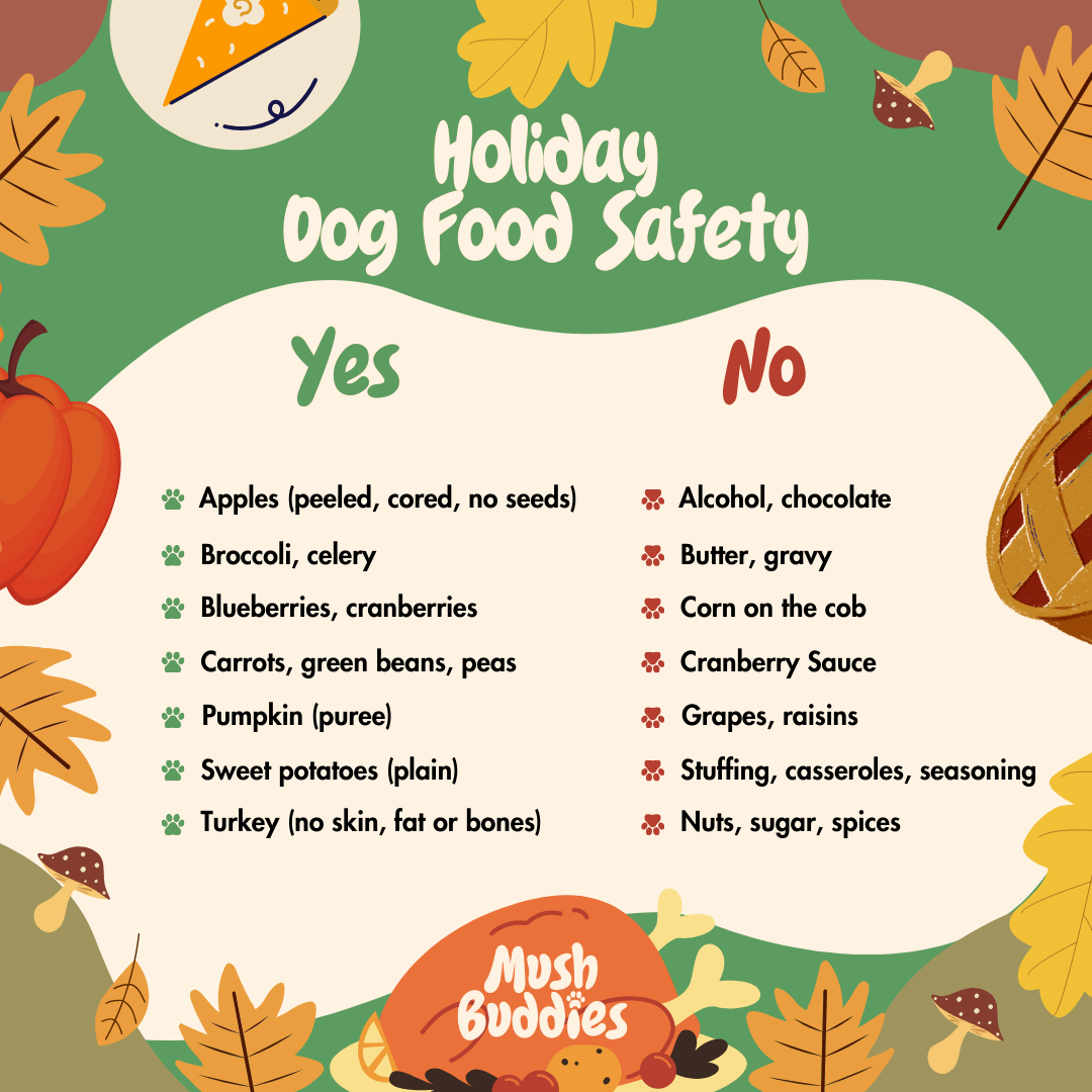 Holiday Foods for Dogs