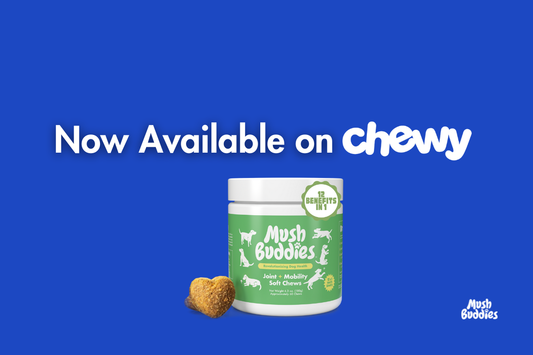 Mush Buddies Is Now Available on Chewy!